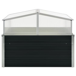 vidaXL Gewächshaus Anthrazit 100x100x77 cm Verzinkter Stahl