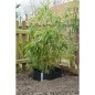 Nature Wurzelbarriere Bogen 0,7 x 5 m HDPE schwarz 6030227 Nature Wurzelbarriere Bogen 0,7 x 5 m HDPE schwarz 6030227