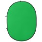 vidaXL 2-in-1 Foto-Hintergrund Oval Grün Blau 200x150 cm vidaXL 2-in-1 Foto-Hintergrund Oval Grün Blau 200x150 cm