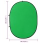 vidaXL 2-in-1 Foto-Hintergrund Oval Grün Blau 200x150 cm vidaXL 2-in-1 Foto-Hintergrund Oval Grün Blau 200x150 cm