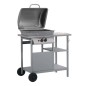 Gasgrill mit Beistelltisch auf 3 Ebenen Silbern Gasgrill mit Beistelltisch auf 3 Ebenen Silbern
