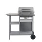 Gasgrill mit Beistelltisch auf 3 Ebenen Silbern Gasgrill mit Beistelltisch auf 3 Ebenen Silbern