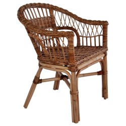 vidaXL Gartenstuhl Natürliches Rattan Braun
