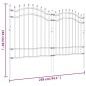 vidaXL Gartenzaun mit Speerspitzen Schwarz 165 cm Stahl vidaXL Gartenzaun mit Speerspitzen Schwarz 165 cm Stahl
