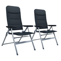 Garten-Liegestühle 2 Stk. Aluminium Schwarz