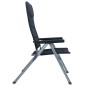 Garten-Liegestühle 2 Stk. Aluminium Schwarz Garten-Liegestühle 2 Stk. Aluminium Schwarz