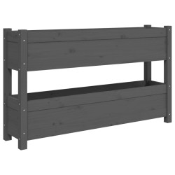 vidaXL Pflanzkübel Grau 112x25x66 cm Massivholz Kiefer