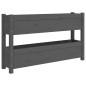 vidaXL Pflanzkübel Grau 112x25x66 cm Massivholz Kiefer vidaXL Pflanzkübel Grau 112x25x66 cm Massivholz Kiefer