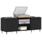 vidaXL Plattenschrank Schwarz 121x38x48 cm Holzwerkstoff vidaXL Plattenschrank Schwarz 121x38x48 cm Holzwerkstoff