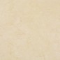 vidaXL PVC-Fliesen Selbstklebend 20 Stk. 1,86 m² Beige vidaXL PVC-Fliesen Selbstklebend 20 Stk. 1,86 m² Beige