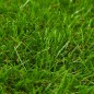 vidaXL Kunstrasen 1x2 m/40 mm Grün vidaXL Kunstrasen 1x2 m/40 mm Grün