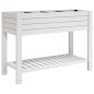 vidaXL Hochbeet Weiß 110x45x79 cm Polypropylen vidaXL Hochbeet Weiß 110x45x79 cm Polypropylen