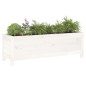 vidaXL Hochbeet Weiß 119,5x40x39 cm Massivholz Kiefer vidaXL Hochbeet Weiß 119,5x40x39 cm Massivholz Kiefer