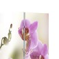 vidaXL Raumteiler klappbar 120 x 170 cm Blume vidaXL Raumteiler klappbar 120 x 170 cm Blume
