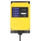 vidaXL Elektrischer Hebezug mit Funkfernbedienung 1300 W 500/999 kg vidaXL Elektrischer Hebezug mit Funkfernbedienung 1300 W 500/999 kg