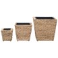 vidaXL Blumenkübel 3 Stk. Wasserhyazinthe vidaXL Blumenkübel 3 Stk. Wasserhyazinthe