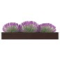vidaXL Garten-Hochbeet Verzinkter Stahl 320×40×45 cm Braun vidaXL Garten-Hochbeet Verzinkter Stahl 320×40×45 cm Braun