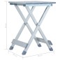 vidaXL Campinghocker Aluminium 28 x 26 x 39 cm vidaXL Campinghocker Aluminium 28 x 26 x 39 cm