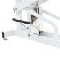 Hydraulischer Trimmtisch für Haustiere, Hunde, Katzen Hydraulischer Trimmtisch für Haustiere, Hunde, Katzen