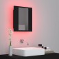 vidaXL LED-Bad-Spiegelschrank Schwarz 40x12x45 cm Acryl vidaXL LED-Bad-Spiegelschrank Schwarz 40x12x45 cm Acryl