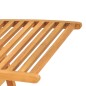 vidaXL Sonnenliege Massivholz Teak vidaXL Sonnenliege Massivholz Teak