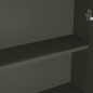 vidaXL Bad-Spiegelschrank 60x15x75 cm MDF Grau vidaXL Bad-Spiegelschrank 60x15x75 cm MDF Grau