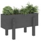 vidaXL Pflanzkübel Grau 62x30x38 cm Massivholz Kiefer vidaXL Pflanzkübel Grau 62x30x38 cm Massivholz Kiefer