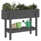 vidaXL Hochbeet Grau 101x30x69 cm Massivholz Kiefer vidaXL Hochbeet Grau 101x30x69 cm Massivholz Kiefer