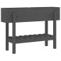 vidaXL Hochbeet Grau 101x30x69 cm Massivholz Kiefer vidaXL Hochbeet Grau 101x30x69 cm Massivholz Kiefer
