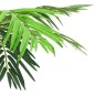 vidaXL Künstliche Palme Phönix mit Topf 190 cm Grün vidaXL Künstliche Palme Phönix mit Topf 190 cm Grün
