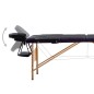 Massageliege Klappbar 2-Zonen mit Holzgestell Schwarz Massageliege Klappbar 2-Zonen mit Holzgestell Schwarz