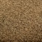 vidaXL Fußmatte Waschbar Braun 60x180 cm vidaXL Fußmatte Waschbar Braun 60x180 cm
