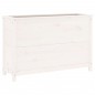vidaXL Hochbeet Weiß 119,5x40x78 cm Massivholz Kiefer vidaXL Hochbeet Weiß 119,5x40x78 cm Massivholz Kiefer
