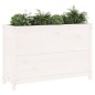 vidaXL Hochbeet Weiß 119,5x40x78 cm Massivholz Kiefer vidaXL Hochbeet Weiß 119,5x40x78 cm Massivholz Kiefer