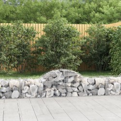 vidaXL Gabione mit Hochbogen 200x50x40/60 cm Verzinktes Eisen