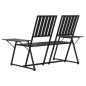 vidaXL 2-Sitzer-Gartenbank 165 cm Schwarz Stahl vidaXL 2-Sitzer-Gartenbank 165 cm Schwarz Stahl