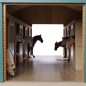 Kids Globe Bauernhof Pferdestall mit 7 Boxen 1:24 610595 Kids Globe Bauernhof Pferdestall mit 7 Boxen 1:24 610595