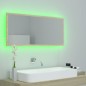 vidaXL LED-Badspiegel Sonoma-Eiche 100x8,5x37 cm Acryl vidaXL LED-Badspiegel Sonoma-Eiche 100x8,5x37 cm Acryl