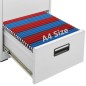 vidaXL Aktenschrank Hellgrau 46x62x102,5 cm Stahl vidaXL Aktenschrank Hellgrau 46x62x102,5 cm Stahl