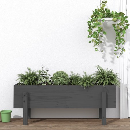 vidaXL Hochbeet Grau 101x30x38 cm Massivholz Kiefer