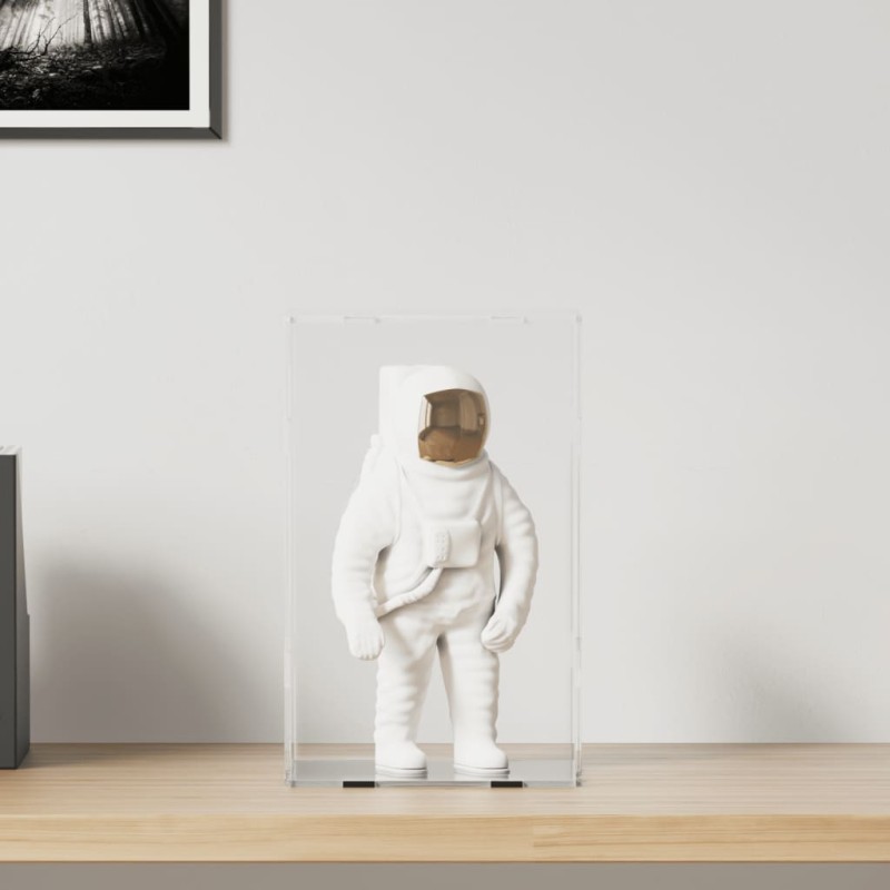 vidaXL Vitrine Transparent 22x18x35 cm Acryl vidaXL Vitrine Transparent 22x18x35 cm Acryl