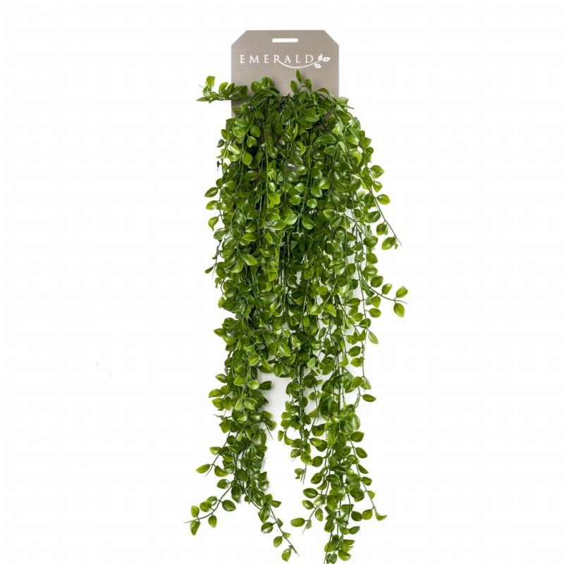 Emerald Künstlicher Kletter-Ficus künstlich 80 cm Emerald Künstlicher Kletter-Ficus künstlich 80 cm