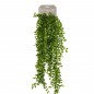 Emerald Künstlicher Kletter-Ficus künstlich 80 cm Emerald Künstlicher Kletter-Ficus künstlich 80 cm