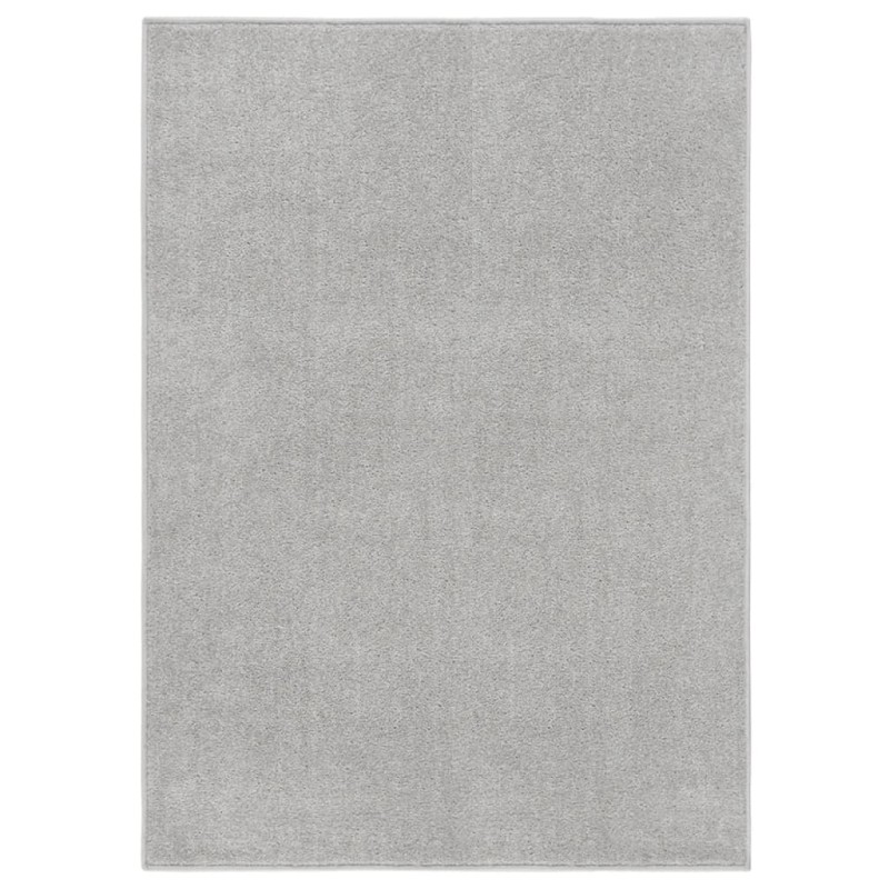 vidaXL Teppich Kurzflor 120x170 cm Hellgrau vidaXL Teppich Kurzflor 120x170 cm Hellgrau