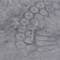 vidaXL PVC Laminat Dielen Selbstklebend 5,02 m² 2 mm Zementgrau vidaXL PVC Laminat Dielen Selbstklebend 5,02 m² 2 mm Zementgrau