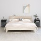 vidaXL Nachttische HAMAR 2 Stk. Dunkelgrau 40x35x62 cm Massivholz vidaXL Nachttische HAMAR 2 Stk. Dunkelgrau 40x35x62 cm Massivholz