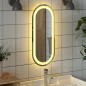 vidaXL LED-Badspiegel 60x25 cm Oval vidaXL LED-Badspiegel 60x25 cm Oval