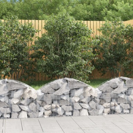 vidaXL Gabione mit Hochbogen 100x30x40/60 cm Verzinktes Eisen