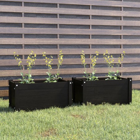 vidaXL Pflanzkübel 2 Stk. Schwarz 60x31x31 cm Massivholz Kiefer