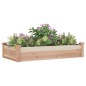 vidaXL Hochbeet mit Einsatz 120x60x25 cm Massivholz Tanne vidaXL Hochbeet mit Einsatz 120x60x25 cm Massivholz Tanne